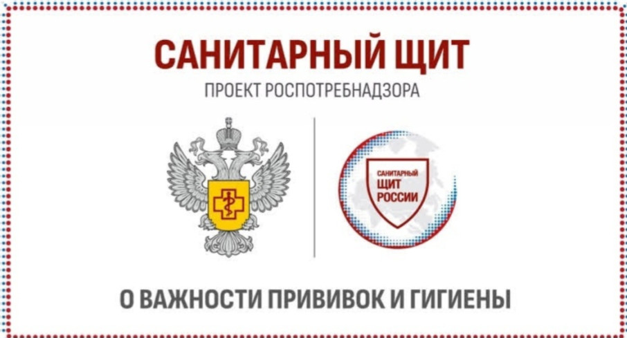 Федеральный проект «Санитарный щит России» Федеральный проект «Санитарный щит России».